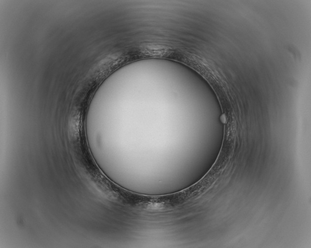 X0000115250647200911131725