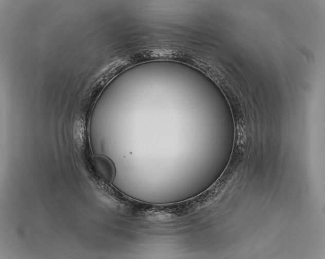 X0000115250648200911131725