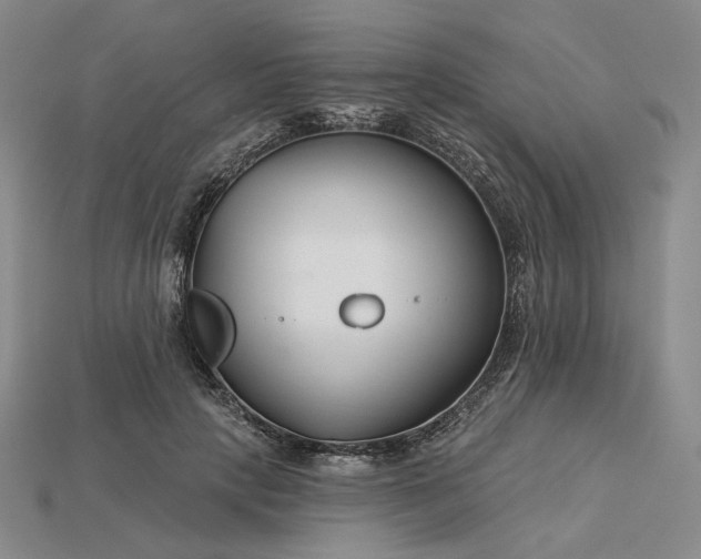 X0000115250649200911131725