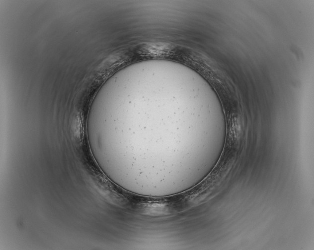 X0000115250651200911131725