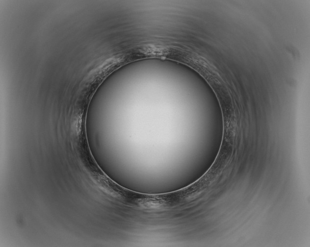 X0000115250652200911131725