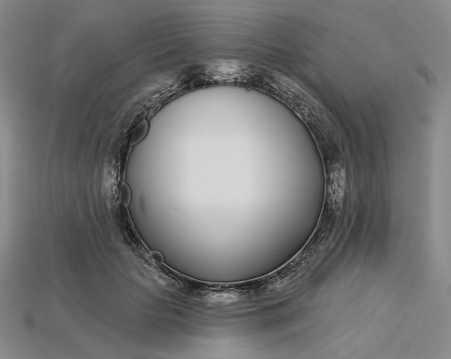 X0000115250653200911131725