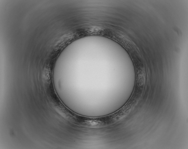 X0000115250654200911131725