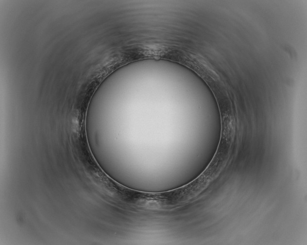 X0000115250655200911131725