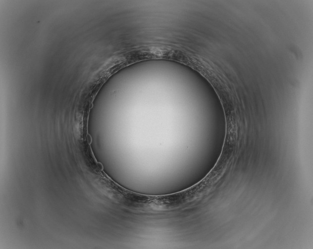 X0000115250656200911131725