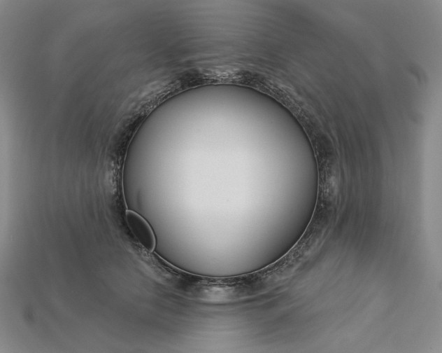 X0000115250658200911131725