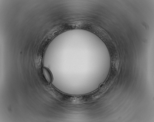 X0000115250660200911131725