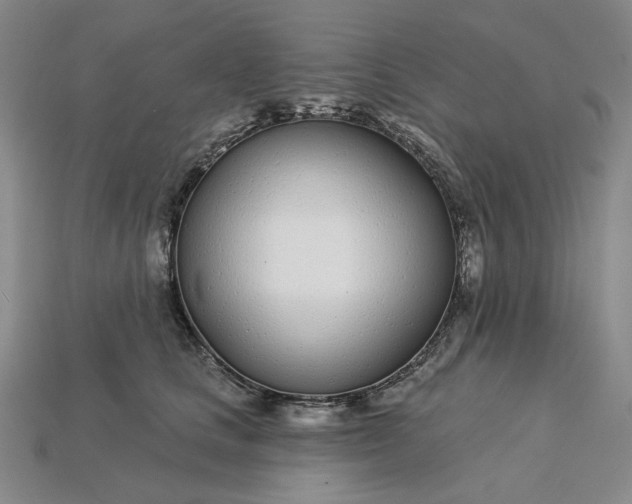 X0000115250661200911131725