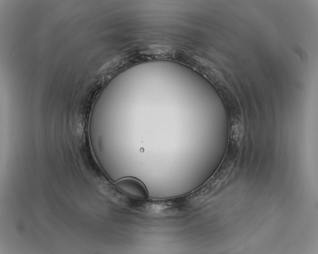 X0000115250662200911131725