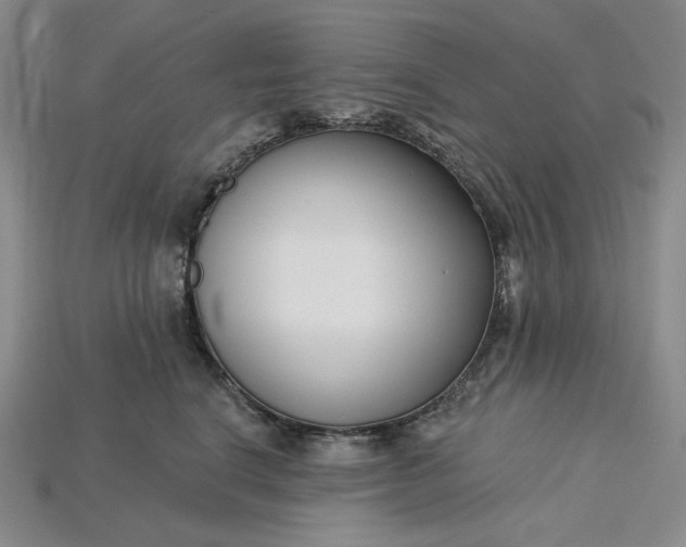 X0000115250664200911131725