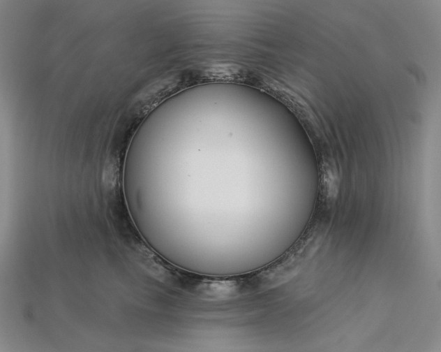 X0000115250665200911131726