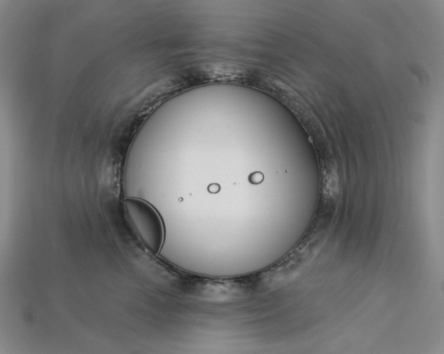 X0000115250666200911131726