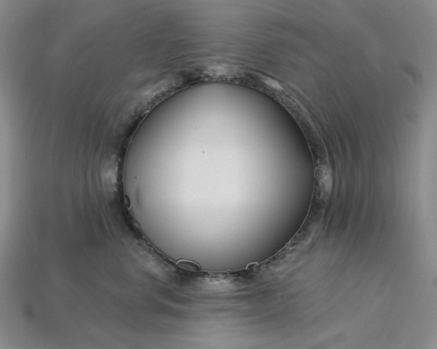 X0000115250668200911131726