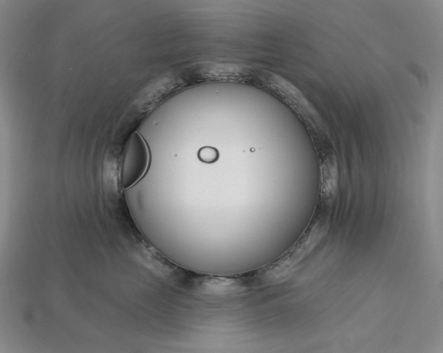 X0000115250669200911131726