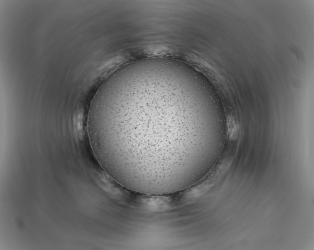 X0000115250670200911131726