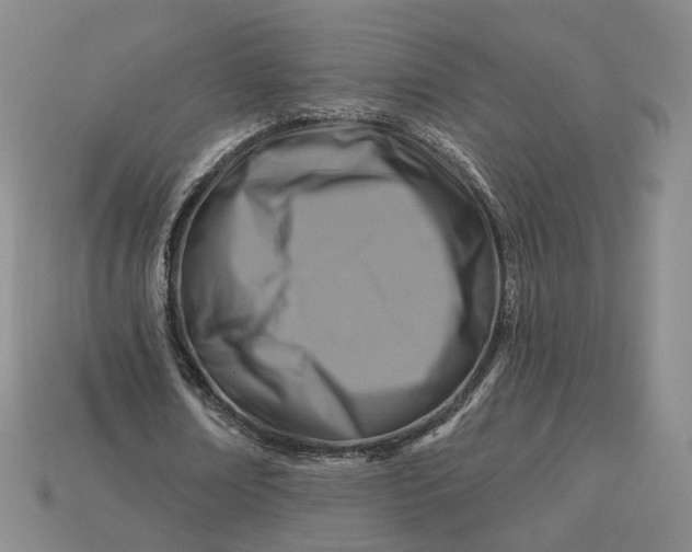 X0000115250674200911131725