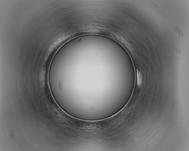 X0000115250675200911131725