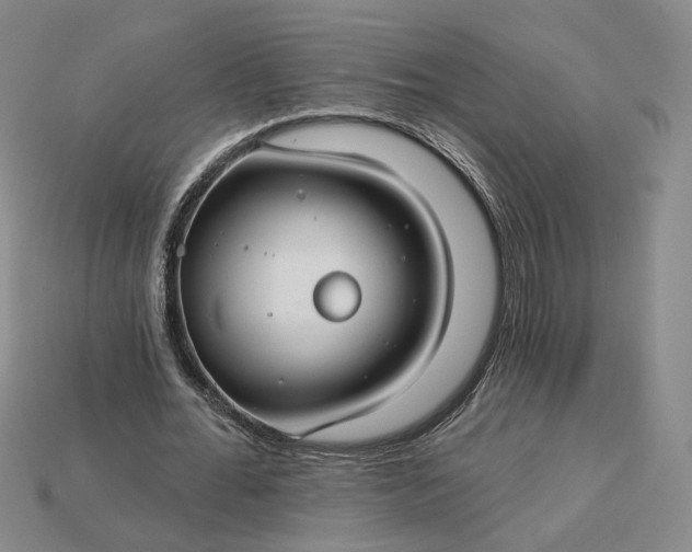 X0000115250676200911131725