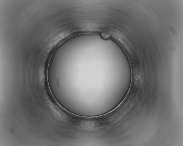 X0000115250677200911131725