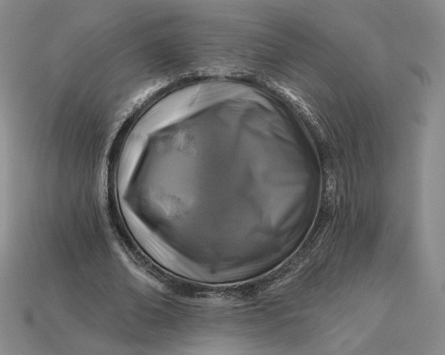 X0000115250678200911131725