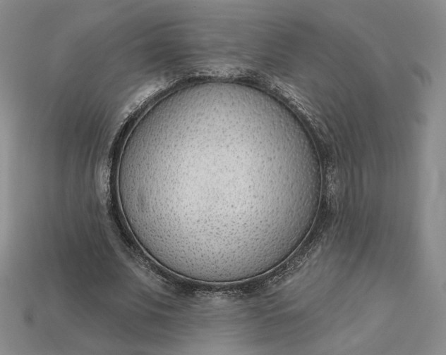 X0000115250679200911131725