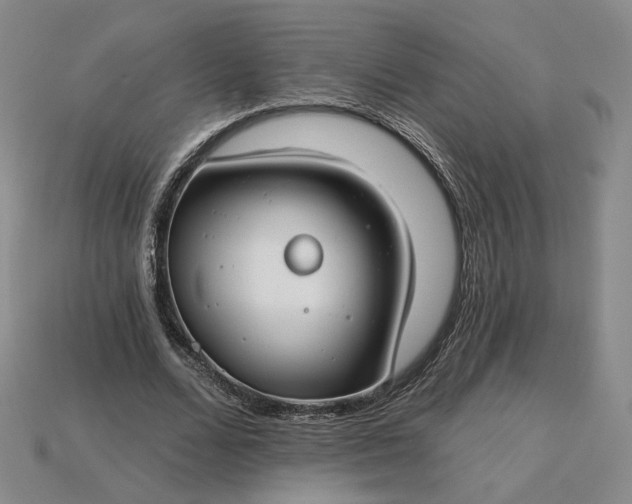 X0000115250680200911131725