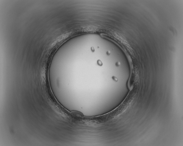 X0000115250681200911131725