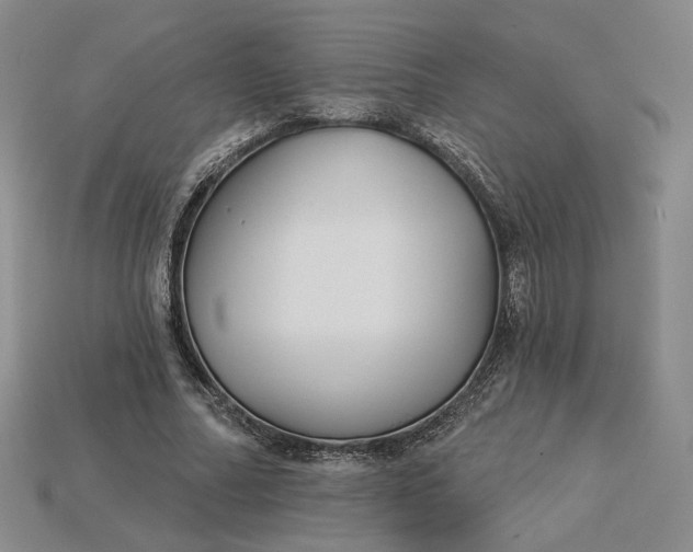 X0000115250682200911131725