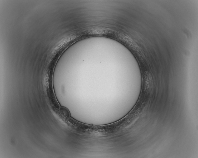 X0000115250683200911131725