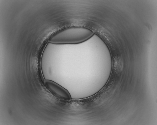 X0000115250684200911131725