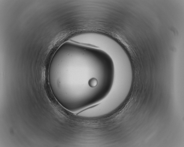 X0000115250685200911131725