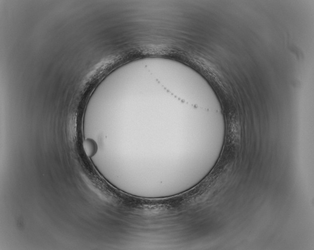 X0000115250686200911131725