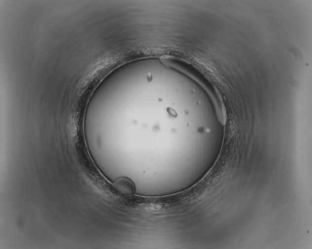 X0000115250687200911131725