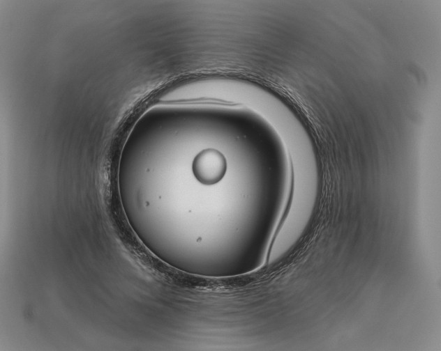 X0000115250688200911131725