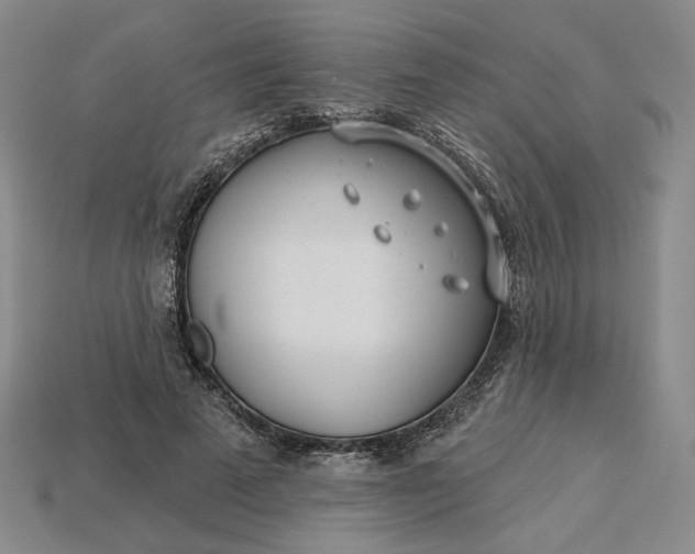 X0000115250689200911131725