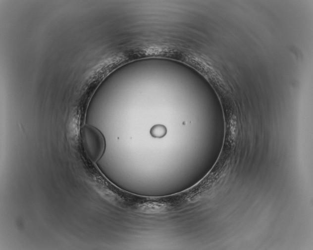 X0000115250691200911131725