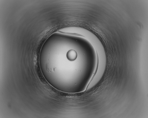 X0000115250693200911131725