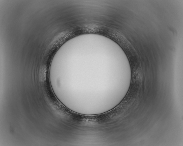 X0000115250694200911131725