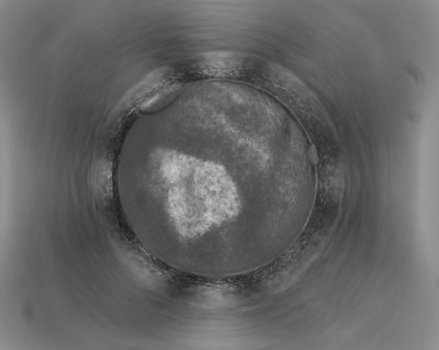 X0000115250696200911131725