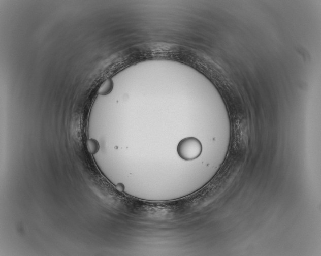 X0000115250698200911131724