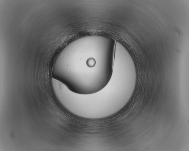 X0000115250700200911131724