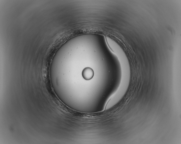 X0000115250701200911131724