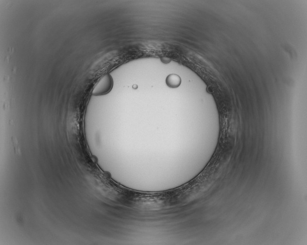 X0000115250702200911131724