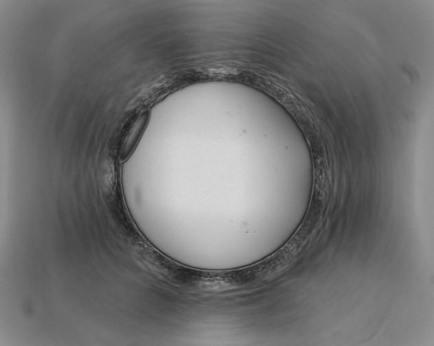 X0000115250704200911131724