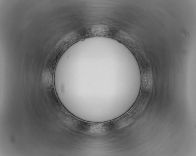 X0000115250705200911131724