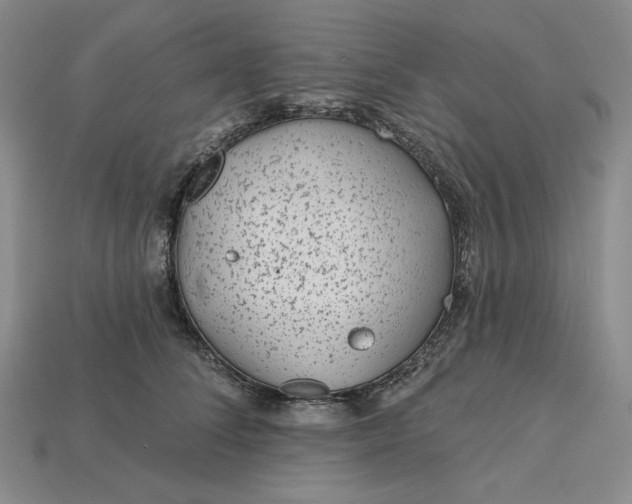 X0000115250708200911131724