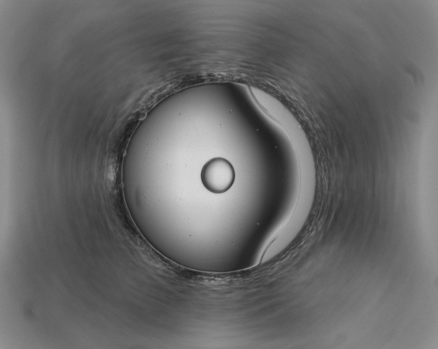 X0000115250709200911131724