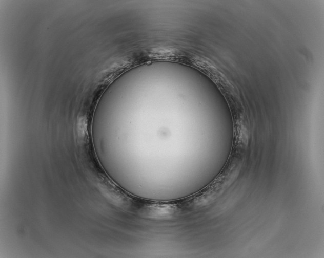 X0000115250711200911131724