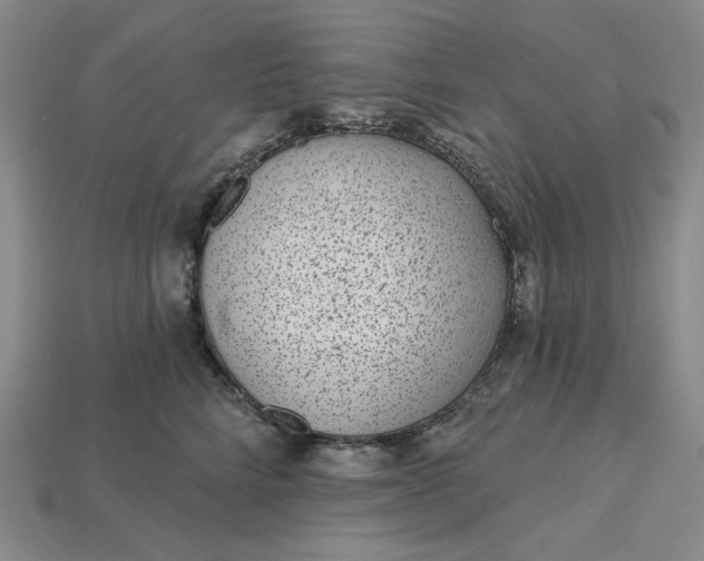 X0000115250712200911131724