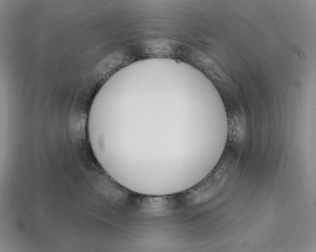 X0000115250717200911131724